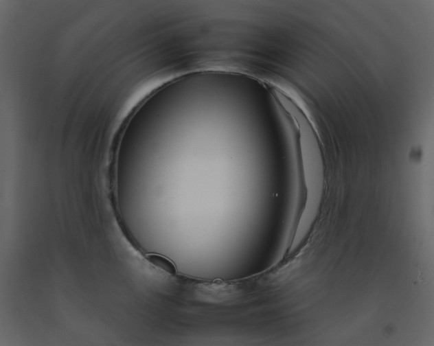 X0000092251147200710051253