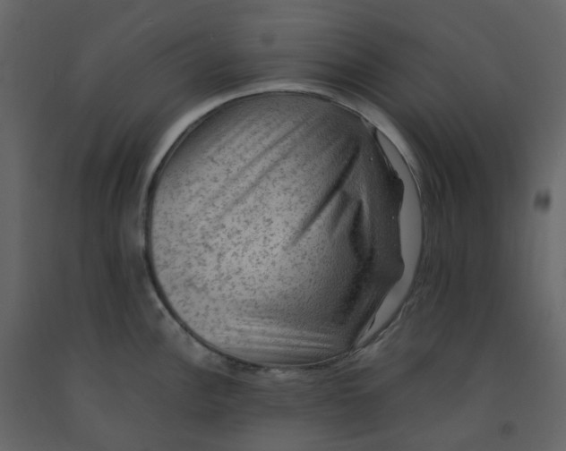 X0000092251148200710051253