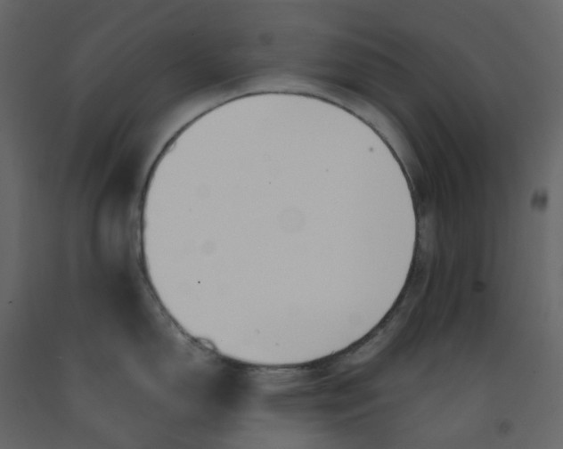 X0000092251150200710051253