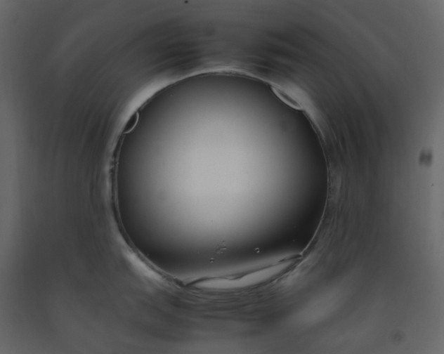 X0000092251151200710051254