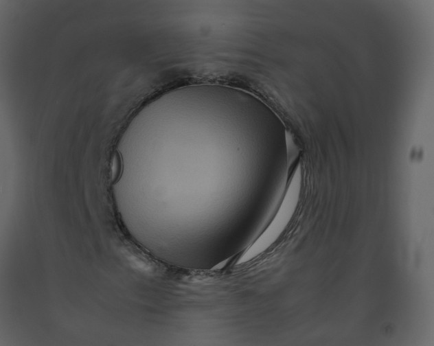 X0000092251153200710051253