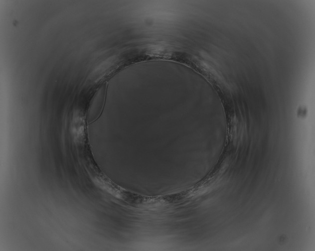 X0000092251154200710051253