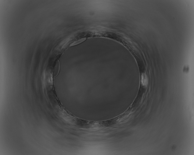 X0000092251155200710051253