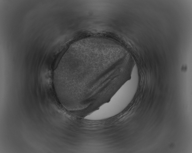 X0000092251156200710051253