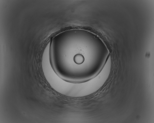 X0000092251157200710051253