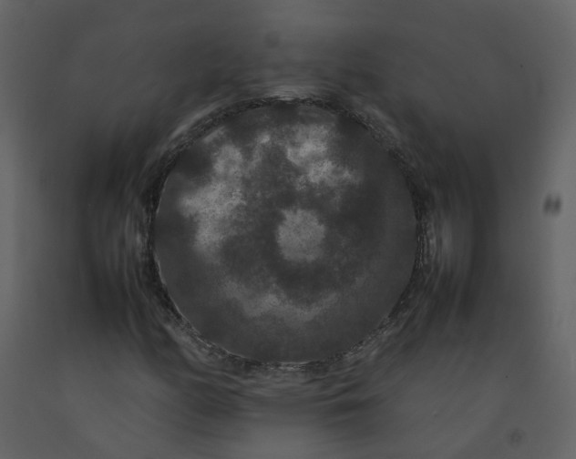 X0000092251158200710051253