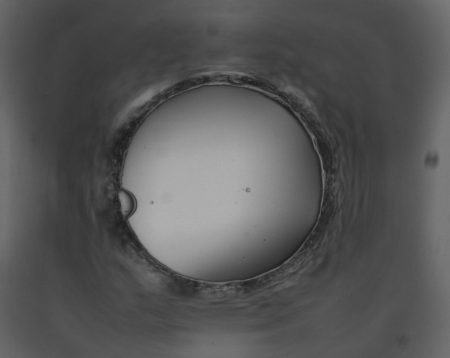 X0000092251159200710051253