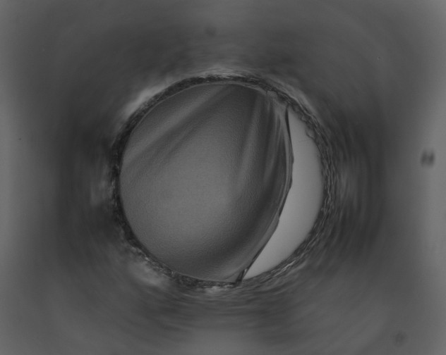 X0000092251160200710051253