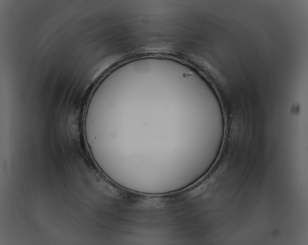 X0000092251162200710051253