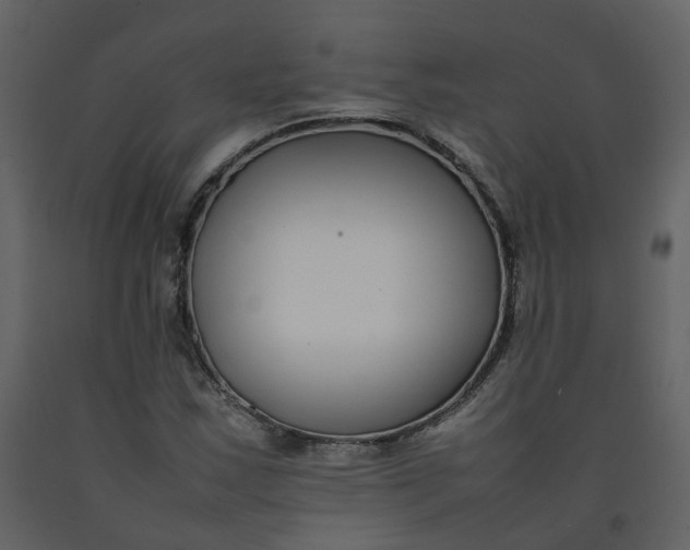 X0000092251163200710051253