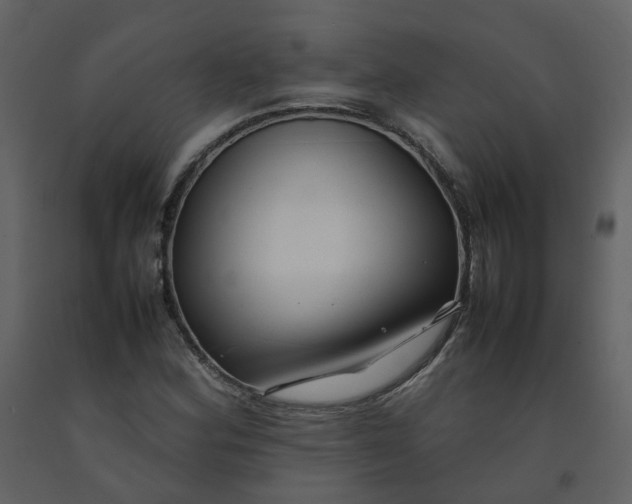 X0000092251164200710051253