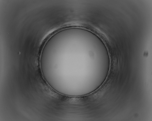 X0000092251166200710051253