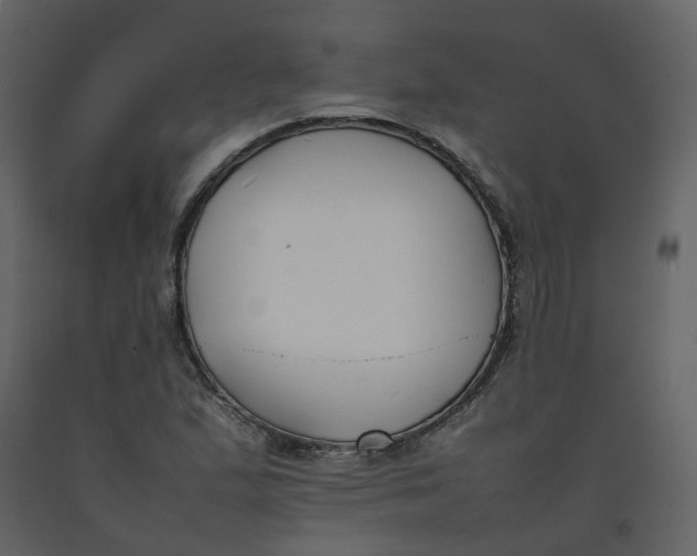 X0000092251167200710051253