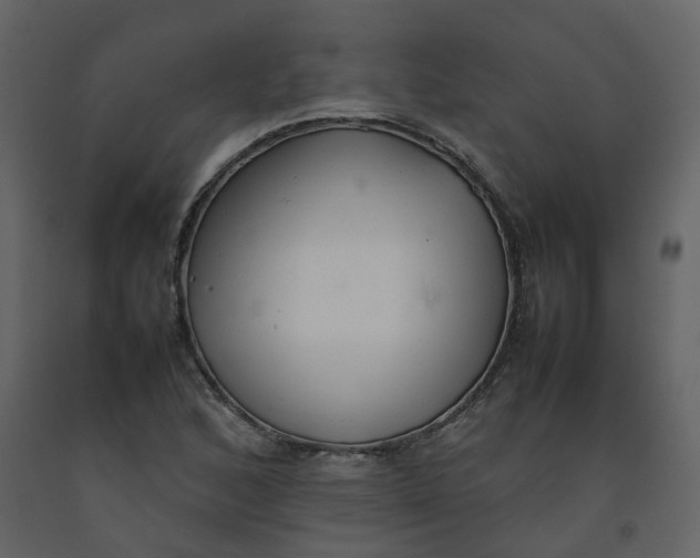 X0000092251168200710051253