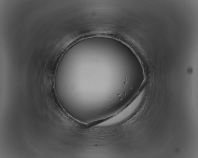 X0000092251169200710051253