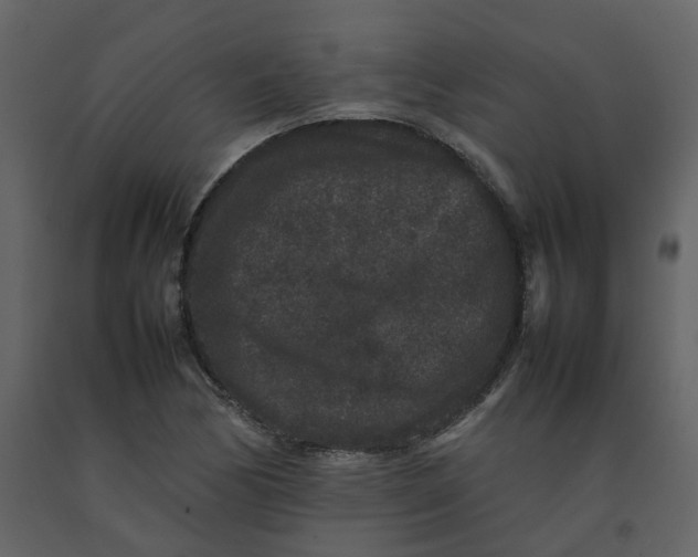 X0000092251170200710051253