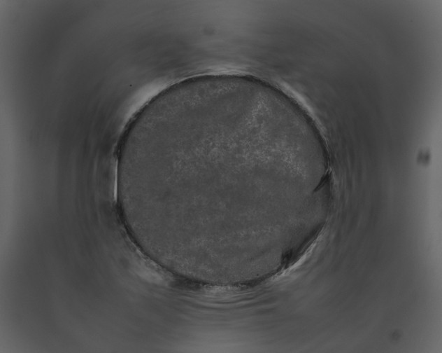 X0000092251171200710051253