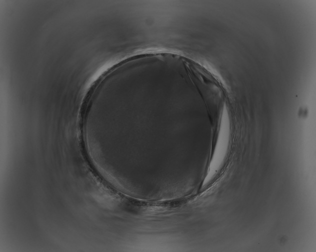 X0000092251173200710051253