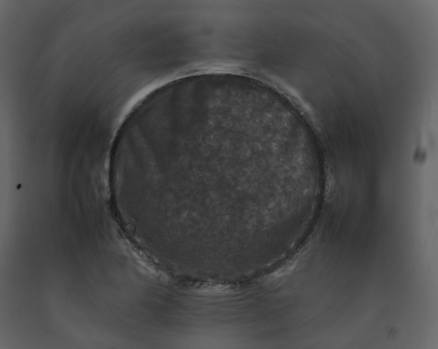 X0000092251174200710051253