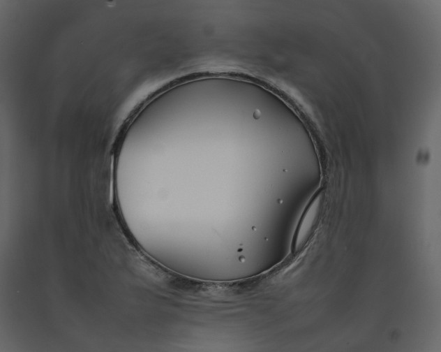 X0000092251175200710051253