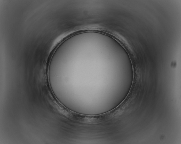 X0000092251176200710051253