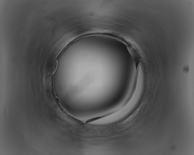 X0000092251177200710051253