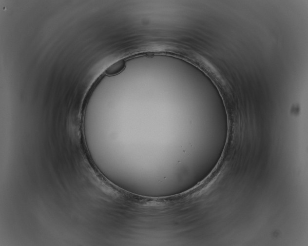 X0000092251178200710051253