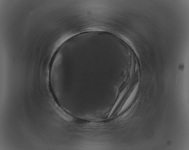 X0000092251179200710051253