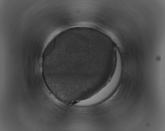 X0000092251180200710051253