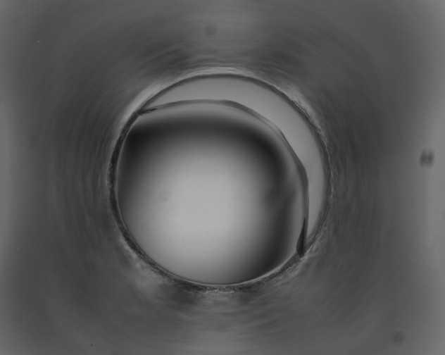 X0000092251181200710051253