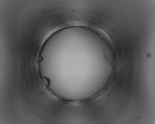 X0000092251182200710051253