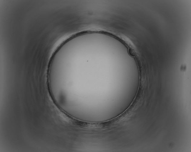 X0000092251183200710051253