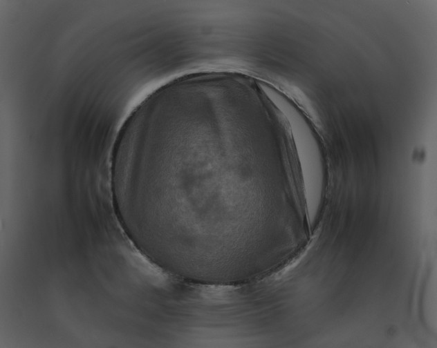 X0000092251184200710051253