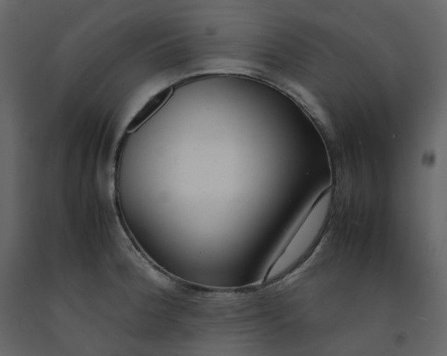 X0000092251188200710051252