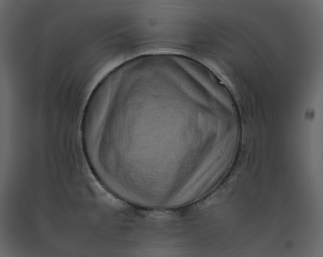 X0000092251189200710051252