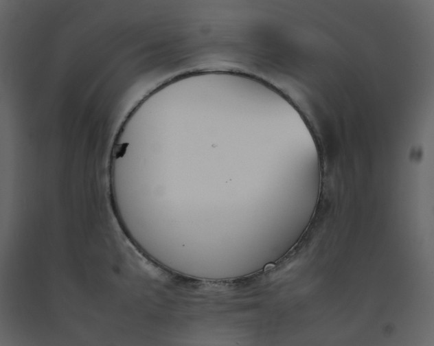 X0000092251191200710051252