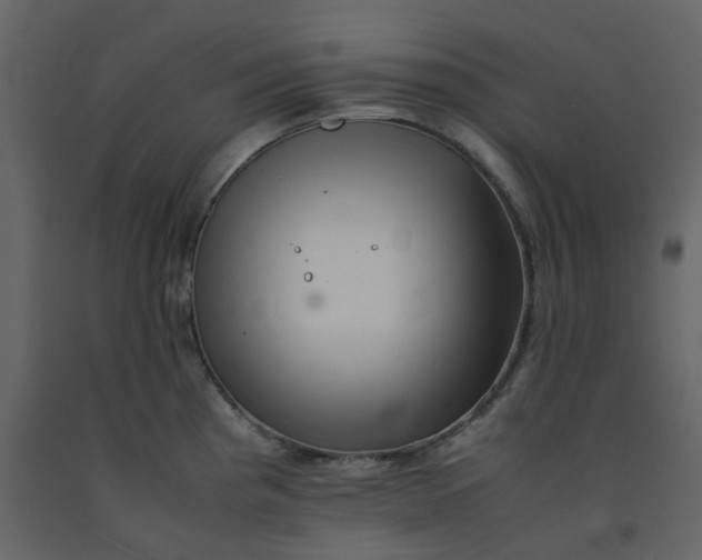 X0000092251193200710051252