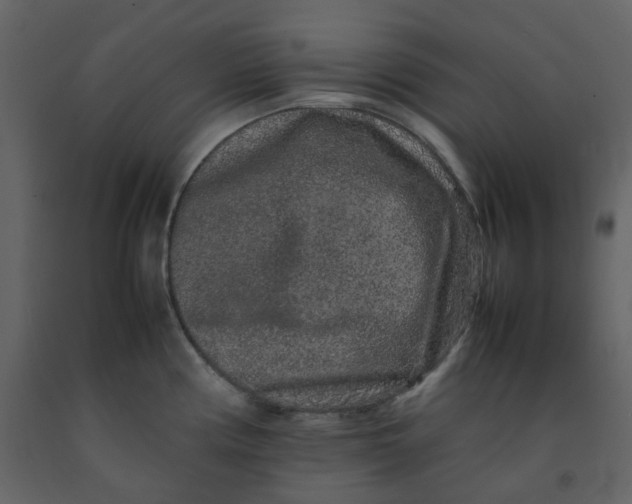 X0000092251194200710051252