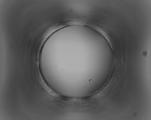 X0000092251195200710051252