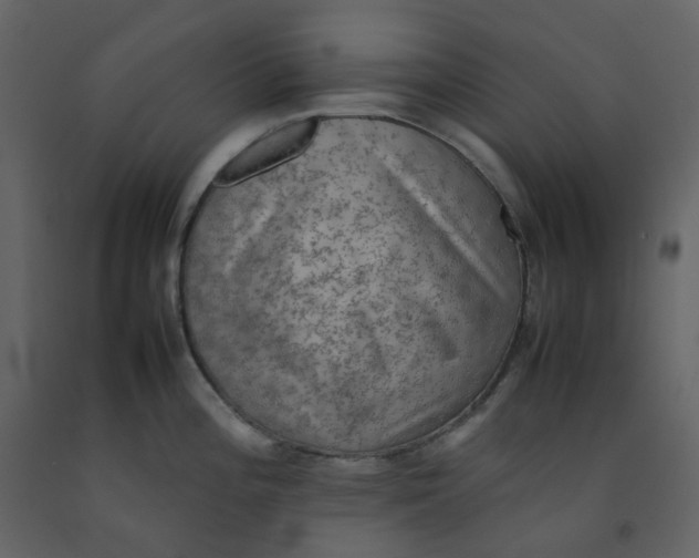 X0000092251196200710051252