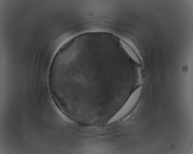 X0000092251197200710051252