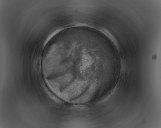 X0000092251198200710051252