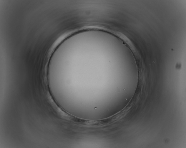 X0000092251199200710051252