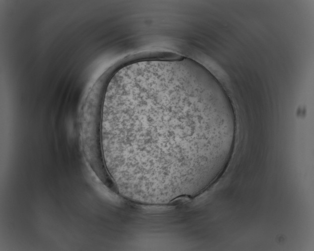 X0000092251200200710051252