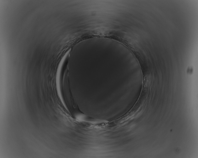 X0000092251202200710051252