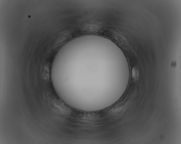 X0000092251203200710051252