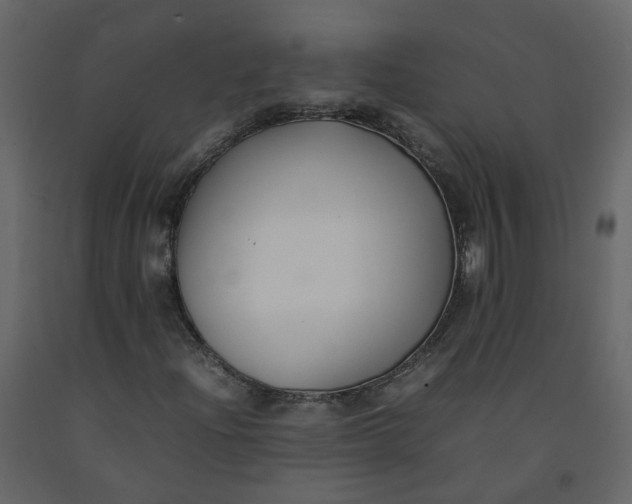 X0000092251204200710051252