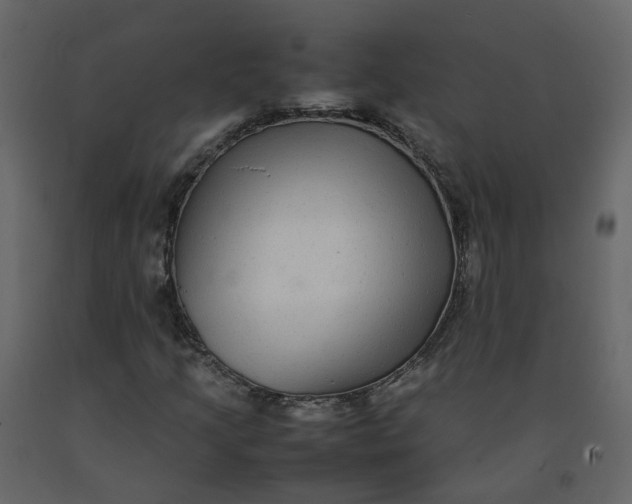 X0000092251205200710051252