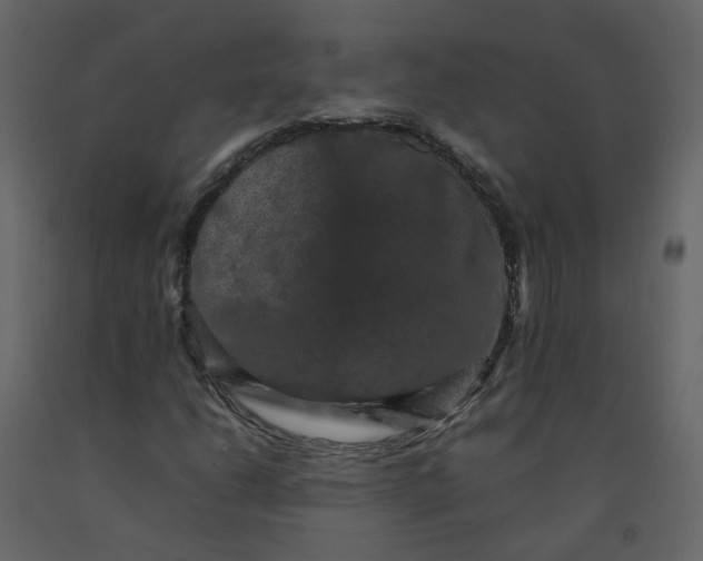 X0000092251206200710051252