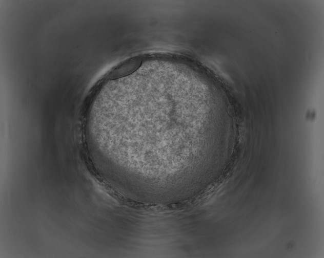 X0000092251208200710051252